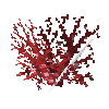coral-shrub-red-4