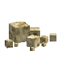 coral-sponge-smooth-dead-3