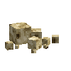 coral-sponge-smooth-dead-4
