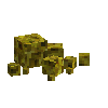 coral-sponge-smooth-yellow-6