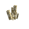 coral-sponge-vase-dead-1