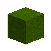 creativegrass-medium-normal