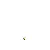 crop-bellpepper-1