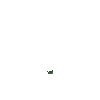 crop-cabbage-1