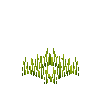 crop-flax-3