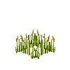 crop-flax-4