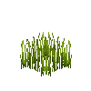 crop-flax-5