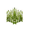 crop-flax-6