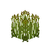 crop-flax-8