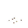 crop-onion-1