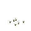 crop-onion-2
