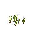 crop-onion-5