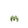 crop-peanut-2