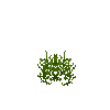 crop-peanut-3
