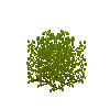 crop-peanut-9