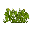crop-pumpkin-6