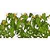 crop-pumpkin-7