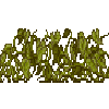 crop-pumpkin-8