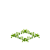 crop-rice-2