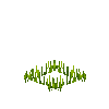 crop-rice-3