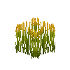 crop-rice-8