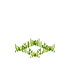 crop-rye-2