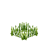 crop-rye-4