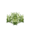 crop-rye-5
