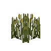 crop-rye-8