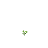 crop-soybean-2