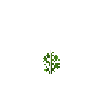 crop-soybean-4