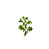 crop-soybean-7
