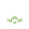 crop-spelt-2