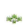 crop-spelt-3