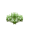 crop-spelt-5