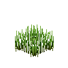 crop-spelt-6