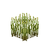 crop-spelt-8