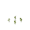 crop-sunflower-2
