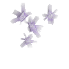 crystal-amethyst-cluster1-east