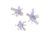 crystal-amethyst-cluster2-west