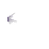 crystal-amethyst-small3-north