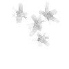 crystal-milkyquartz-cluster1-west