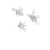 crystal-milkyquartz-cluster2-west