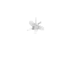 crystal-milkyquartz-small3-west