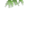 crystal-olivine-cluster1-down