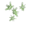 crystal-olivine-cluster1-east
