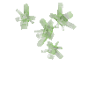 crystal-olivine-cluster1-west