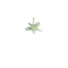 crystal-olivine-small3-east