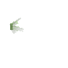 crystal-olivine-small3-north