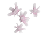 crystal-rosequartz-cluster1-east